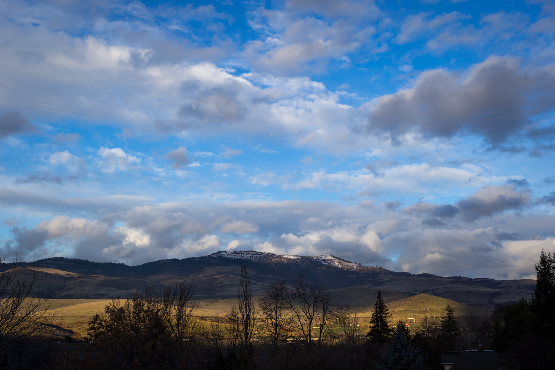 Grizzly Peak, Ashland OR